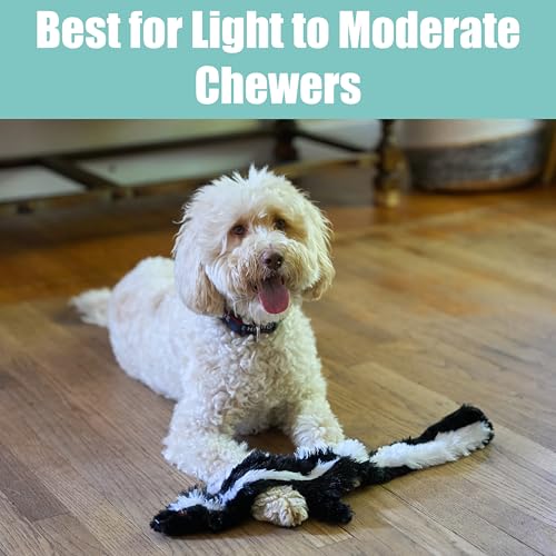 SPOT Skinneeez Skunk 23-Inch Stuffing-Free Plush Dog Toy – Realistic Design with 2 Squeakers – Durable, Soft Polyester for Medium & Large Dogs – Tug, Fetch & Shake Play – for Moderate Chewers - style: Skunk