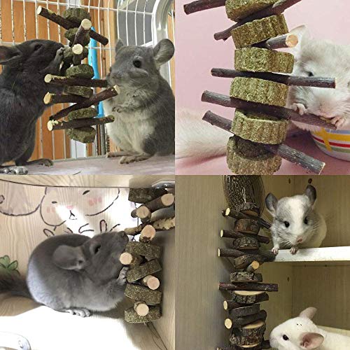 Bunny Chew Toys for Teeth, 2 PCS Organic Apple Wood Molar Sticks with Timothy Hay Circles for Bunny Chinchilla Guinea Pig Hamsters Holland Lop Prairie Dogs Squirrels, Improves Dental Health - color: 2 PCS Apple Stick String