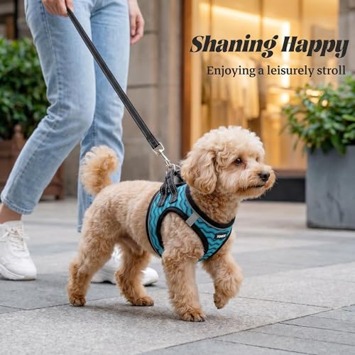 No Pull Dog Puppy Harness and Leash Set Reflective Mesh Vest XX-Small - color: Blue, size: XX-Small (Pack of 1)