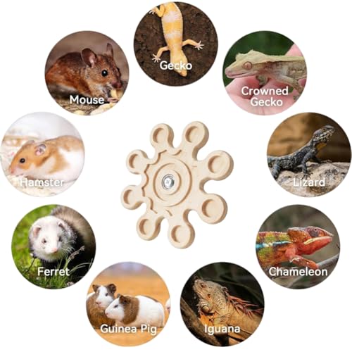 Chinchilla Chew Toys Rotating Natural Wood Teeth Grinding Interactive Enrichment Toys Hanging Exercise Wheel for Small Pet Rat Hamster Ferret Bunny Squrriel (Snow)