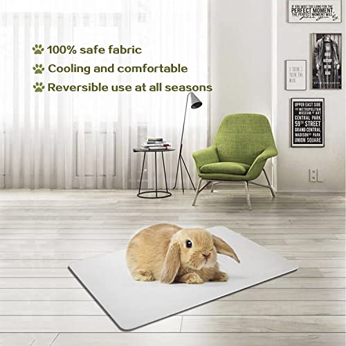Rabbit Cooling Pad, 11.8x7.9 in Hamster Cooling Mat Pet Cool Plate for Rabbit Bunny Hamster Guinea Pig & Other Small Pets Stay Cool This Summer - Bite Resistance Pet Cooling Pad Ice Bed - size: 1 PCS