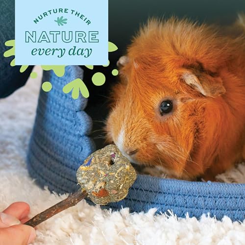 Oxbow Roll Arounds, Rabbit & Guinea Pig Toys, Bunny Enrichment Toys | Oxbow Enriched Life, Rabbit Chew Toys, Guinea Pig Enrichment, Guinea Pig Chew Toys, Rabbit Enrichment, Natural Materials