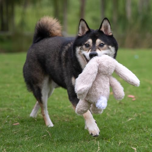Best Pet Supplies Bunny Buddy Squeaky Plush Dog Toy - Beige, Small | Soft Plush, Squeaks & Crinkles, Perfect for Moderate Chewers, Toss & Fetch Play, Stress & Anxiety Reliever, Ideal Gift Toy - color: Bunny (Beige), size: Small