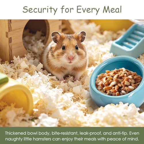 Hamster Food Bowl 2 Packs, Ceramic Slanted Bowl Food Dish Water Bowl for Dwarf Hamster Gerbil Mouse Rat Chinchilla Hedgehog Guinea Pig, Blue and Pink