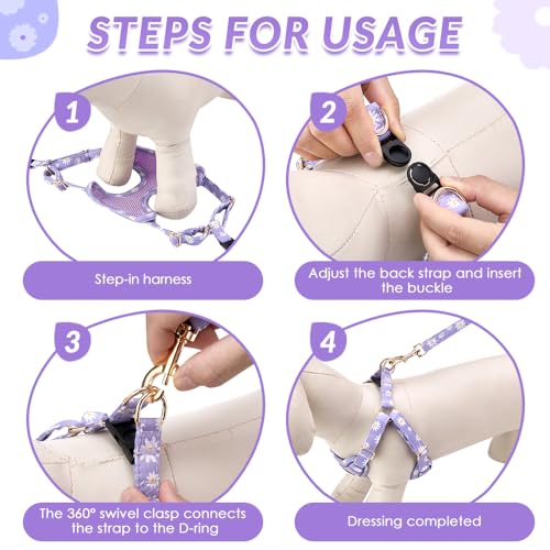 Lukovee Puppy Harness and Leash Set, No Pull Step in Lightweight Mesh Vest | Soft, Reflective, Easy Put on and off, Adjustable, Breathable Air Mesh, with 51in Leash for Walking Hiking (Purple, XXS) - color: Purple, size: XX-Small (2.2-6 lb)