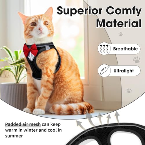 Cat Vest Harness and Leash Set, Escape Proof Kitten Harness Black XS | Safe Reflective Strips, Adjustable Easy Wear Kitty Harness, Sturdy Clip Buckle, Breathable Mesh , for Kitty Puppy Bunny Walks - color: Black, size: XS