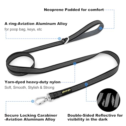 Plutus Pet Heavy Duty Dog Leash with Lockable Aluminum Carabiner, 4 FT Long | Double-Sided Reflective Nylon, Padded Handle, Heavy Duty, for Puppy Small Medium and Large Dogs (Black, 1" x 4') - color: Black, size: 1" x 4'