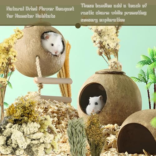 Sukh 47pcs Hamster Sprays - Natural Flower Herb Bedding Forage Mix for Cage | Sprays for Hamster Cage Accessories, Bedding Decor, Habitat Enrichment for Dwarf Syrian Hamsters, Gerbils, Mice, Small Pets