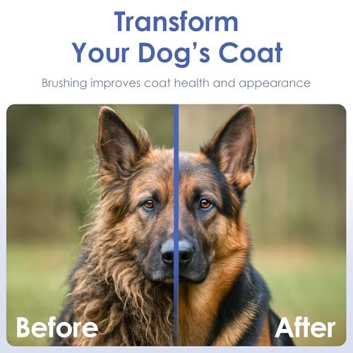 AKC Double-Sided Dog Grooming Brush, Bristle & Pin, Dogs & Cats | Soft bristles and stainless steel pins remove tangles, shedding and loose fur for all coat types. - style: 2-Sided ProBrush