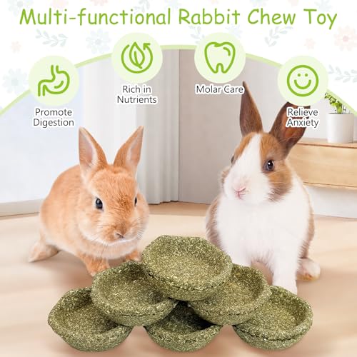 12 Pack Rabbit Chew Toys for Teeth Timothy Hay Chewing Bowl Natural Guinea Pig Treat Edible Small Animal Molar Toys for Bunny Chinchilla Hamster Gerbil Rat - color: Green