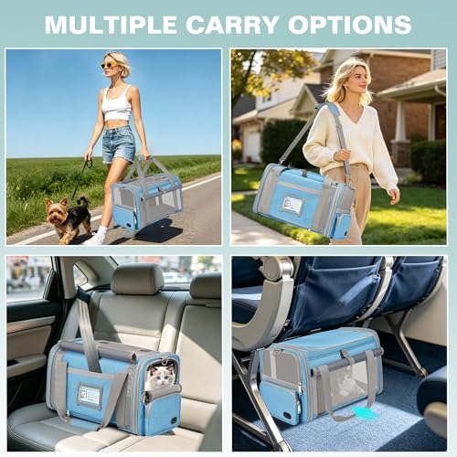Cat Carrier Top Load, Privacy Curtains Soft Pet Travel Bag Airline Approved | Collapsible Soft-Sided Cat/Dog/Pet Carrier for Small Cats Dogs Puppy Under 16 lb, Washable Kitten Mesh Cage (16.9x10.8x10.8) - color: Sky Blue