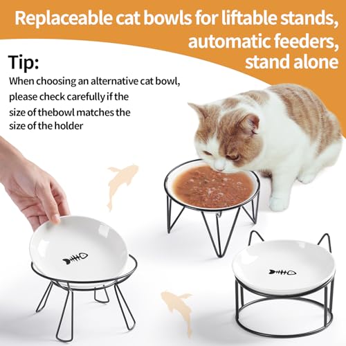 5.9 inch Ceramic Cat Bowls,Wide Shallow Dishes,Whisker-Friendly Plates,Food and Water Bowl for Indoor Cats,-10 oz,3 Pack - color: Basic Dish