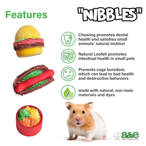 A&E Cage Co Summer Cookout Chew Toys for Hamsters & Small Pets, NB053 | Natural Wood & Loofah, Pet-Safe Dyes, Supports Dental Health, Boredom Breaker Set for Gerbils, Mice & Rats