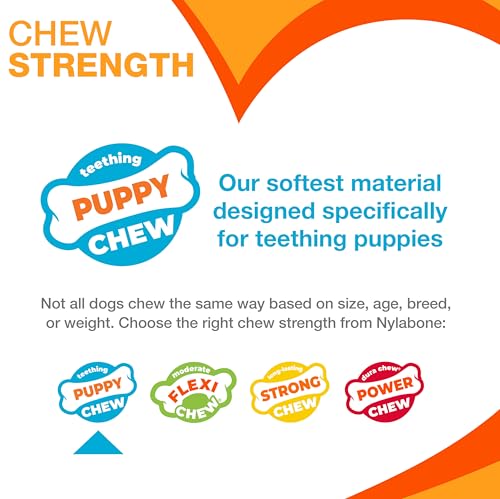 Nylabone Puppy Chew 2-in-1 Teething Freezer Bone Dog Chew Toy, Small | Peanut butter flavor, teething toys for puppies, puppy teething freezable to soothe sore gums, for small puppies up to 25 lbs - size: Small