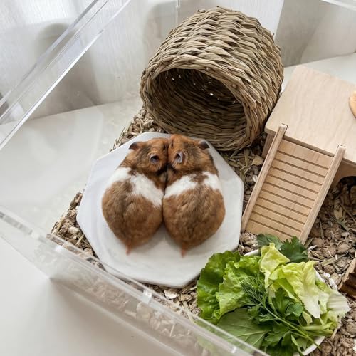 Hamster Cooling Ceramic Plate, Octagon Marble Pattern Cooling Bed for Small Animals, Summer Heat Relief Pad for Hamsters