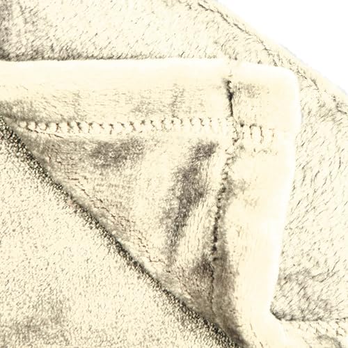 Jay Franco Kids Plush Throw Blanket – Soft & Cozy Fleece Throw for Bedroom & Couch Décor, Official Licensed Product, Beige - Wall-E, 60x90 - Large Blanket - color: Beige - Wall-e, size: 60x90 - Large Blanket