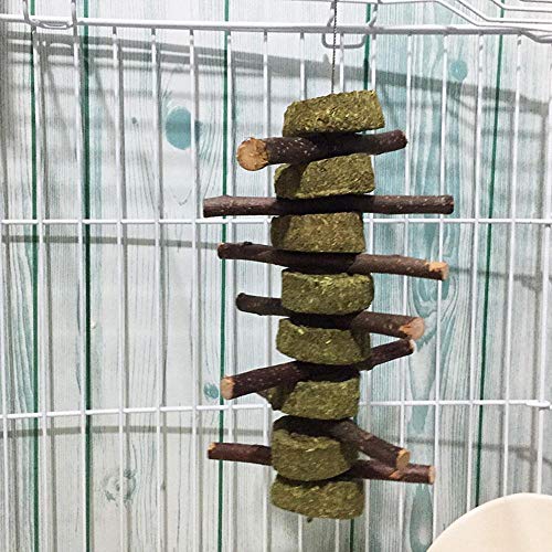 Bunny Chew Toys for Teeth, Organic Apple Wood Molar Sticks with Timothy Hay Circles for Bunny Chinchilla Guinea Pig Hamsters Holland Lop Prairie Dogs Squirrels Gerbils, Improves Dental Health - color: 1 PCS Apple Stick String
