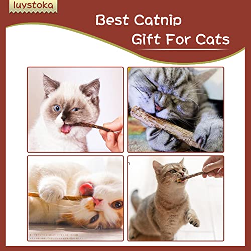 Silvervine Sticks for Cats 10PCS, Silvervine & Matatabi Catnip Toys, Indoor Kitty Chew Sticks & Wand Toys for Bored Cats - size: (10pcs)