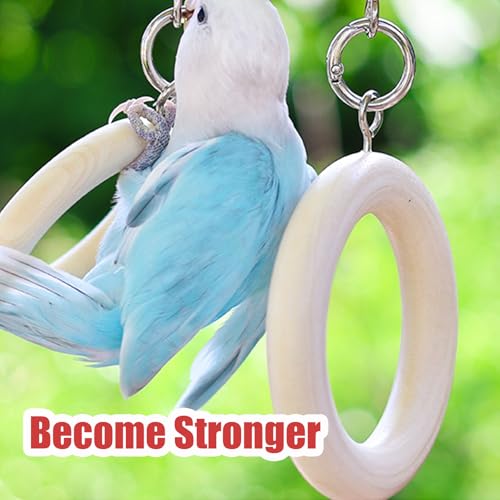 Bird Swing Rings for Cage,Hanging Bird Toys Natural Wooden,Bird Perch Climbing Toys,Parrot Perch Stand for Conure,Budgie,Cockatiel,Lovebird,Canary,Finch,Hamster,Small Pets Accessories,4-Ring (Ring) - color: Ring
