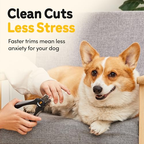 LED Dog Nail Clippers with Light Illumination, Trimmers with Protective Guard, Safety Lock and Nail File - Suitable for Large and Small Dogs & Cats (Grey) - color: Grey, size: Medium-Large (LED)