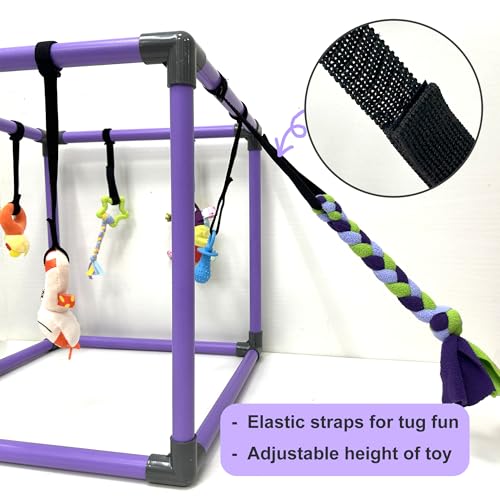 Puppy Play Gym for small dogs with 8 Hanging Interactive Toys Indoor Play | Funny Enrichment Jungle Playground to Keep Them Busy，with Bungee Straps for self-play,19.5*19.5*19.5in