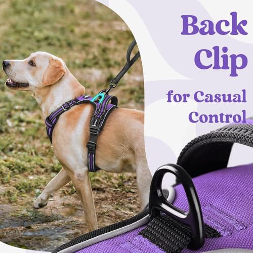 rabbitgoo Dog Harness Small Sized, Updated Easy On & Off with 3 Buckles | No Pull No Choke, Walking with 2 Clips and Handle, Adjustable Soft Reflective, Purple, Small - color: Purple, size: Small