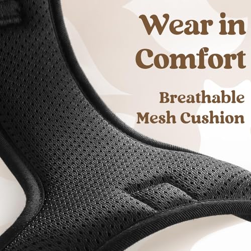 rabbitgoo Dog Harness Small Sized, Updated Easy On & Off with 3 Buckles | No Pull No Choke, Walking with 2 Clips and Handle, Adjustable Soft Reflective, Black, Small - color: Black, size: Small