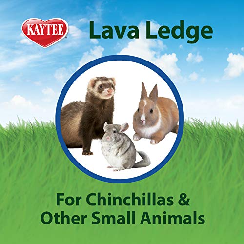 Kaytee Lava Ledge for Attaching to Small Pet Animal Wire Habitats (Pack of 2) - size: Pack of 2