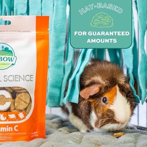 Oxbow Vitamin C Guinea Pig Supplement, High-Fiber Timothy Hay, 4.2 oz | Stabilized Vitamin C, High Fiber, Guinea Pig Vitamin C, Timothy Hay, Immune Health, Small Pet Supplies, Vet Recommended - size: 4.2 Ounce (Pack of 1)