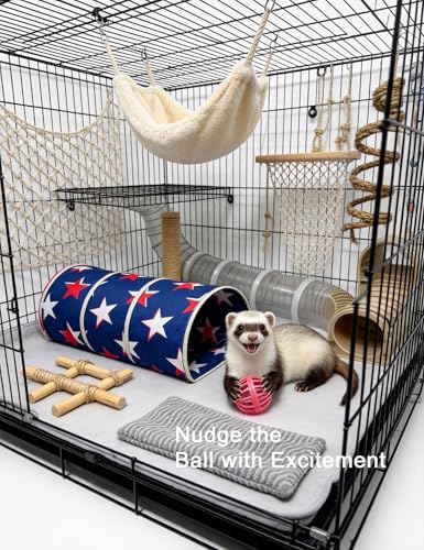 10 Pack Hollow Cutout Bell Play Balls for Ferret, Non Toxic, PP Material | Smooth Polished Edges, No Sharp Burrs, Gentle On Ferret Mouth and Paw