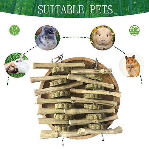 kathson Guinea Pig Treats Hanging Bunny Chew Toys for Teeth Grinding, Organic Bamboo Sticks Natural Rabbit Enrichment Toys for Small Animals Hamster Chinchilla 2 Pack - size: 2 Count (Pack of 1)