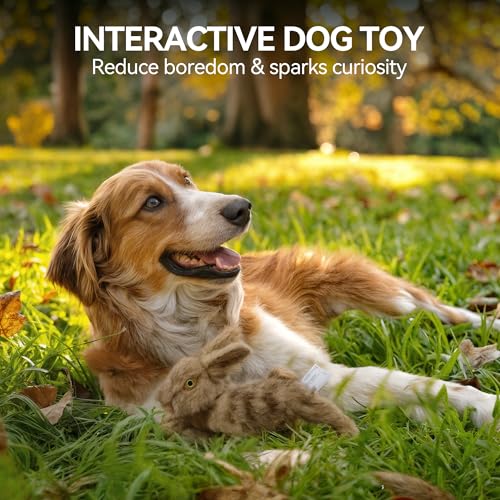 ALL FOR PAWS Squeaky Dog Toys, Dog Stuffed Animal Toys, Plush Toy for Small Medium Large Dogs, Puppy Chew Toy with Squeaker, Brown Rabbit-S | Plush Toy for Small Medium Large Dogs, Puppy Chew Toy with Squeaker, Brown Rabbit-S - size: Small (Pack of 1)