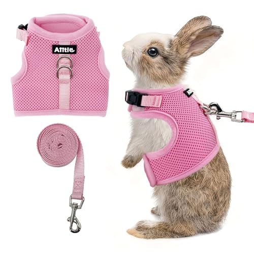 Breathable Bunny Harness and Leash Set Escape Proof, Pink S | Adjustable Straps & Magic Tape Design, Comfort Fit Vest for Puppies, Cats, Squirrels, Rats, Bunnies, Ferrets, Outdoor Walking - color: Pink, size: S