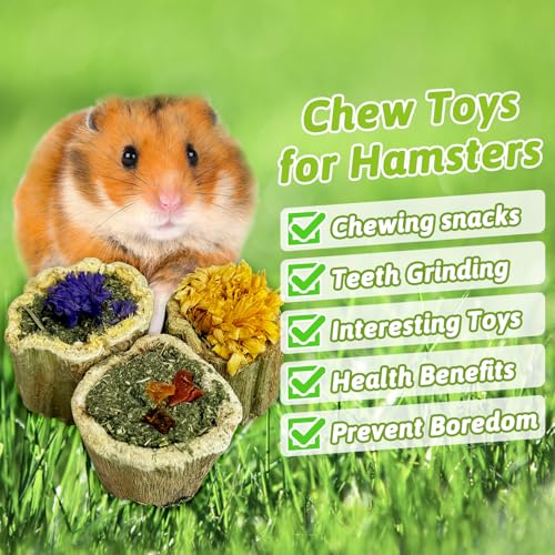 BNOSDM Hamster Chew Treats Chinchilla Natural Fruit & Vegetable Petal Mix Snacks Rabbit Papaya Toys for Teeth for Guinea Pigs Syrian Dwarf Hamsters Gerbils Mice, (3.5oz/100g),1PCS - color: Mixed - 1 Pack