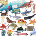 MOEAWS 20 Pcs Ocean Animal Toys withBooklet, Mini Sea Creature Figures | Plastic Sea Animal for Kids Age 3+, Birthday Gift, Ocean Theme Party Favor, Water Bath Toy for Toddler