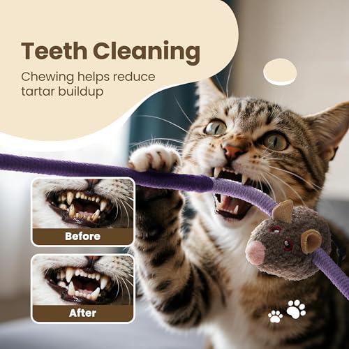 Cat Chew Ropes with Catnip Mouse, 3Pcs Cat Chew Toys for Large Cats Enrichment, 3-in-1 Catnip Toys Mouse & Strong Braided Ropes & Gall Fruits, Cats Teething Toys - color: Ropes