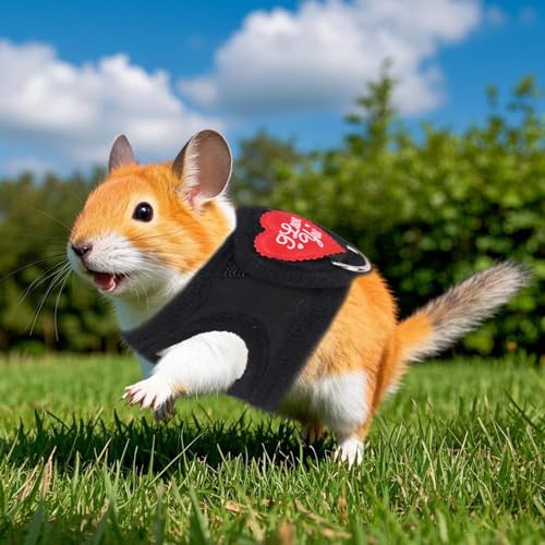 Ferret Harness and Leash Set, Adjustable Leopard Print Leash for Small Pets Including Ferrets Guinea Pigs Rabbits Bunny Hamsters and Kittens (Black)