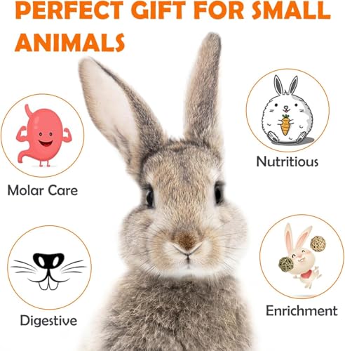 Sofier 20Pcs Timothy Hay Treats - Natural Chews for Teeth - Handmade Rabbit, Chinchilla, Gerbil, Rat, Hamster Toys - Bunny & Guinea Pig - style: 20pcs Treats