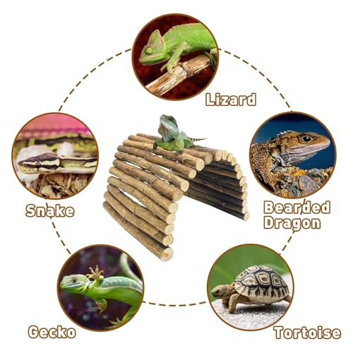 BNOSDM 2PCS Reptile Hideout Wooden Bridge 7.5"x13.4" Lizard Hide Caves Bearded Dragon Habitat Accessories for Gecko Snake Frog Chameleon Iguana Tortoise