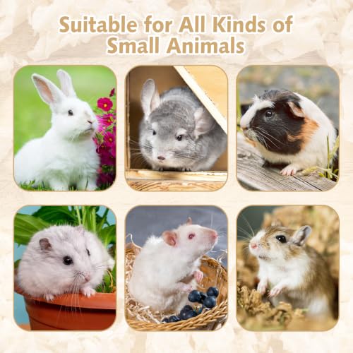 PINVNBY 6 Pcs Hamster Chew Toys Edible Natural Timothy Hay Guinea Pig Chew Bowl Teeth Grinding Chewing Chinchilla Treats for Guinea Pigs Mice Rabbits Gerbils