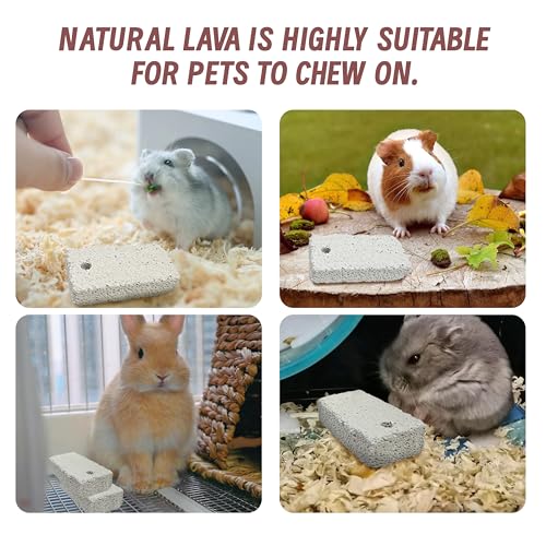18 Pcs Small Animal Pet Lava Bites Chews Toy Mineral Calcium Stone Bunny Teeth Grinding Block for Hamster Chinchilla Rabbit Squirrel Rat Parrot Guinea Pig