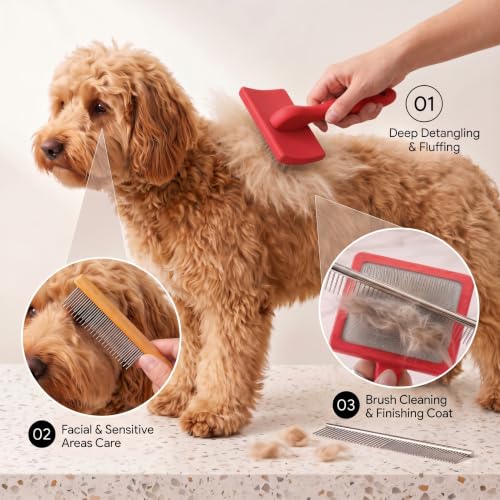 Wooden Long Pin Slicker Brush for Large Dog, Poodles & Doodles Long Hair | Grooming, Fluff & Detangle Heavy Dense Wavy Curly Coats to Easily Prevent Severe Hair Matting During Shedding Seasons - color: Red