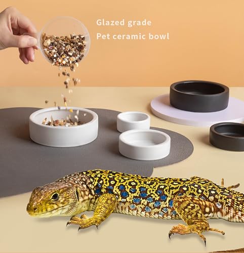 OMEM 2 Pack Black Ceramic Reptile Food and Water Dish Anti Escape Bowl for Bearded Dragons, Lizards, Geckos and Leopards (Large) - size: Large