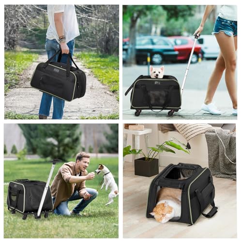 Petsfit Cat Carrier with Wheels, Removable Spinner Wheels, Up to 13 lb | Fits pets up to 15 L x 8 H in and 13 lb; removable spinner wheels, anti-sag frame, 4-sided mesh, safety tether and locks. - color: Black & Green, size: 20.1"L x 12.2"W x 14.2"H