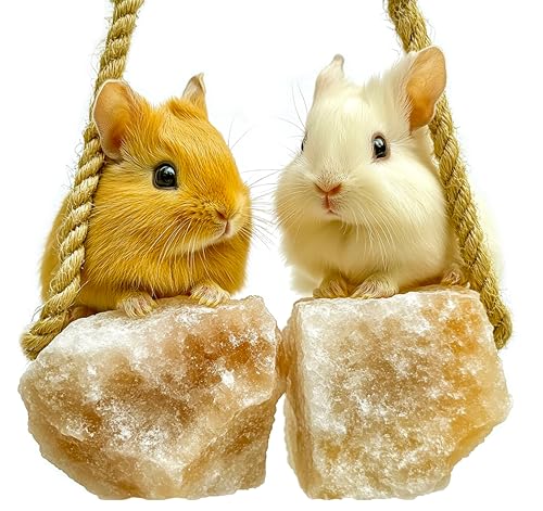 Himalayan Small Pets Salt Lick - 6 Count Natural Mineral Salt Chew Toys with Rope - Treats for Guinea Pig Rabbits Bunny Ferrets