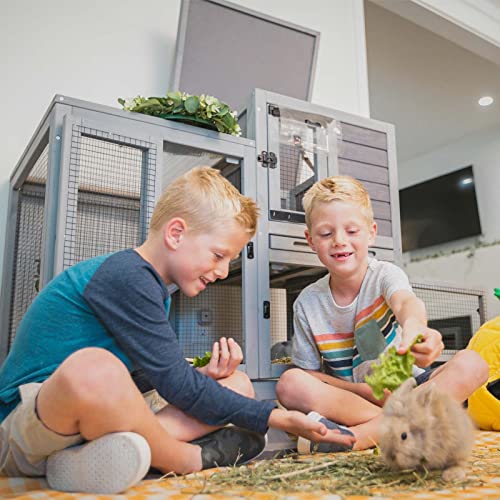 Indoor Rabbit Bunny Hutch Outdoor, Guinea Pig Cages with Removable Bottom Wire Netting - Easy Clean - size: 40.6"L x 26.0"W x 37.6"H