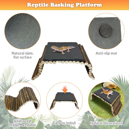 Reptile 15.7x5.9″Bendable Wooden Bridge with 5.9x5.9″Slate Rock Bearded Dragons Basking Platform Set Climbing Hideout Basking Terrace and Hide Cave for Lizard Gecko Flexible Habitat Decor - size: S: 15.7x5.9″Wooden Bridge,5.9x5.9″Slate Rock