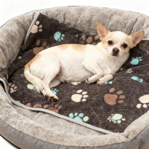 12 Pcs Small Dog Blanket Fleece Puppy Blankets Washable Pet Blankets for Cats Soft Flannel Paw Printed Throw for Guinea Pig Indoor Kittens Doggie (23 X 16 Inch,Dark Gray) - color: Dark Gray