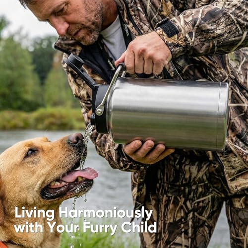 Fijinhom One Gallon Insulated Water Bottle for Travel: 2-in-1 Straw and Spout Lid, Keep Cold 24Hrs, Leakproof, 128oz Water Jug With Handle, Vacuum Stainless Steel for Sports, Hiking, Trip(Stainless) - color: Stainless, size: 128 Ounces