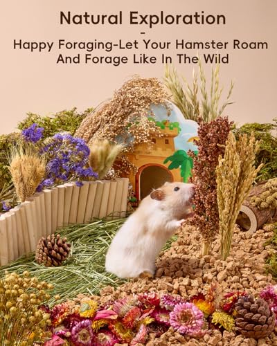 BUCATSTATE 60PCS Natural Hamster Bedding | Flowers & Herbs & Sprays for Cage Habitat Decor - Treat Cereal Grain for Dwarf Syrian Gerbils, Mice, Rat, Forage, Enrichment. - size: 60pcs